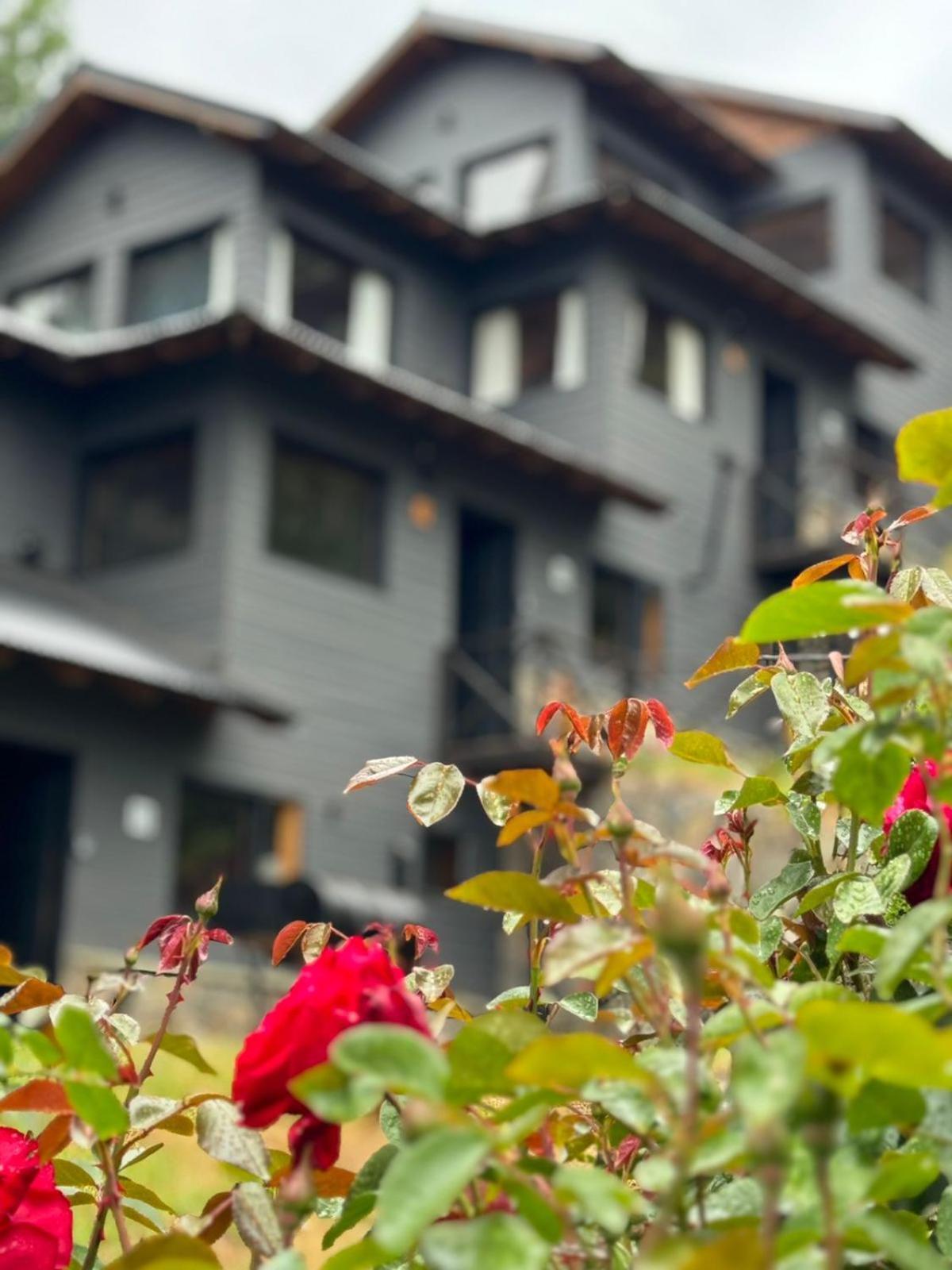 Huilen De Bandurrias Villa San Martín de los Andes Exterior foto