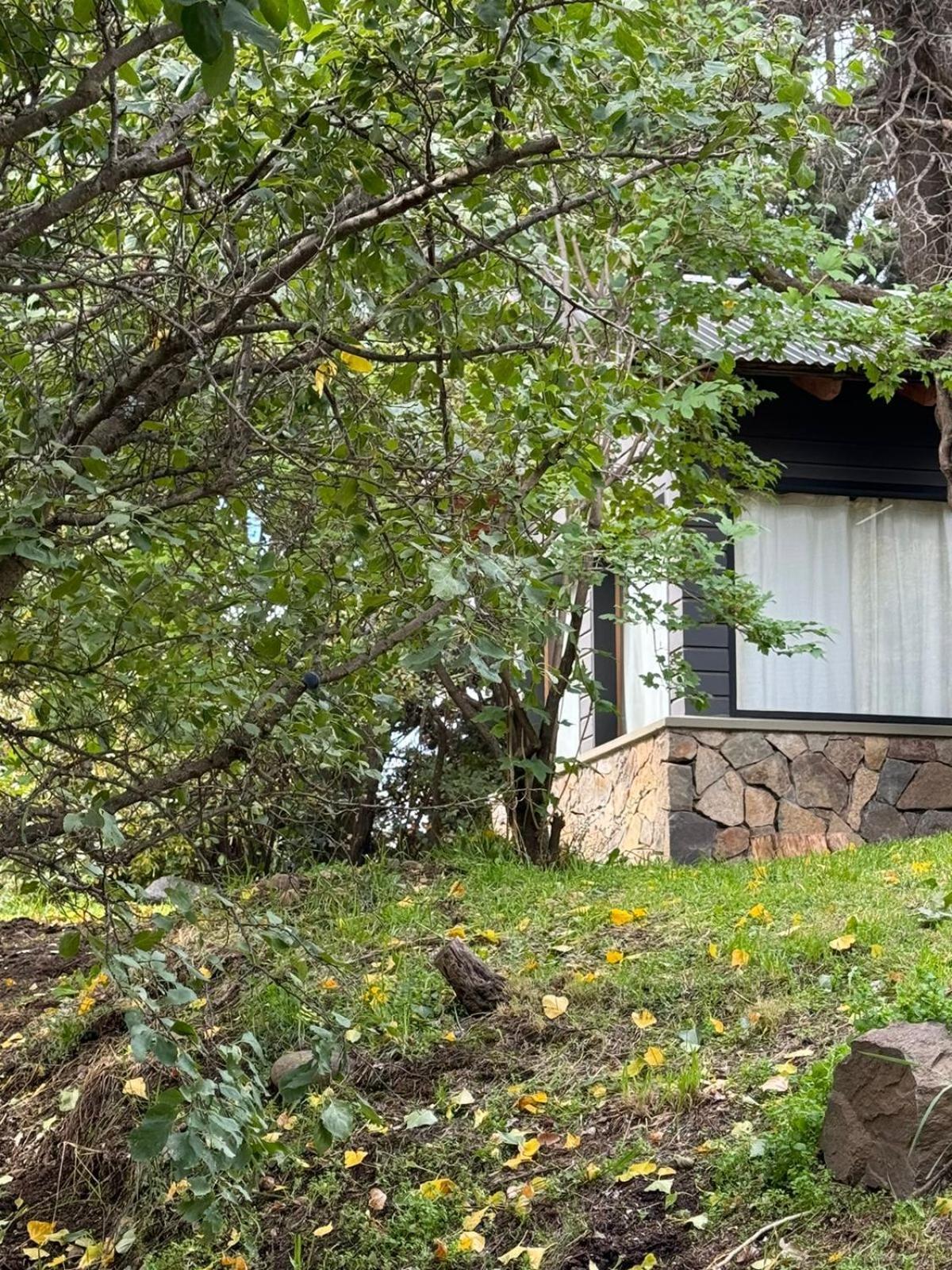 Huilen De Bandurrias Villa San Martín de los Andes Exterior foto